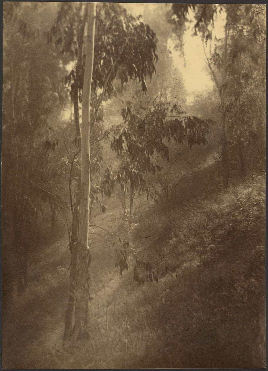 Brume matinale - Louis Fleckenstein