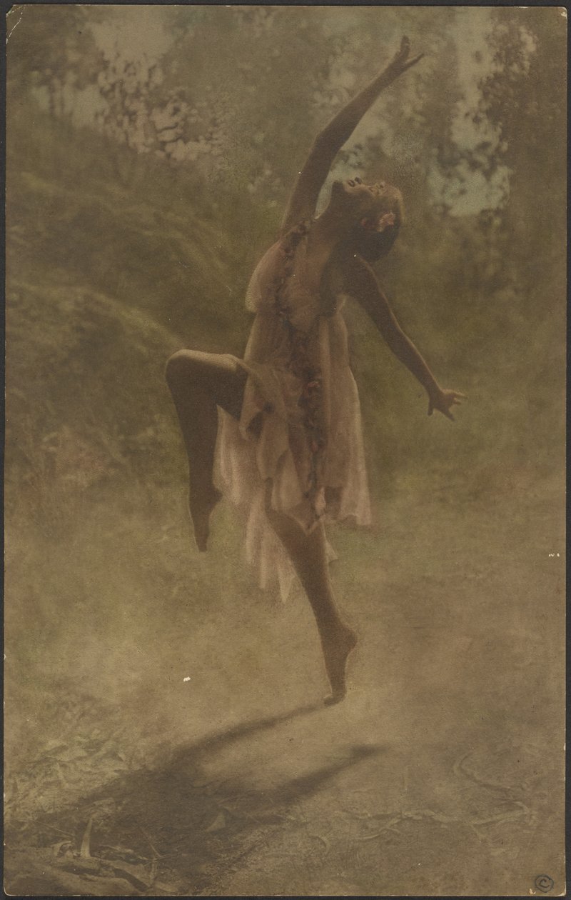 Danse des roses du Sud - Louis Fleckenstein