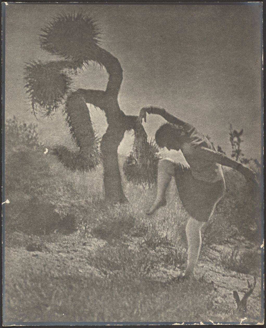 Joshua le bouffon - Louis Fleckenstein