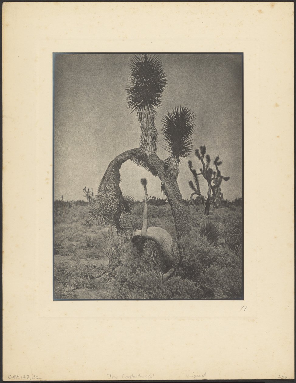 Le contorsionniste - Louis Fleckenstein