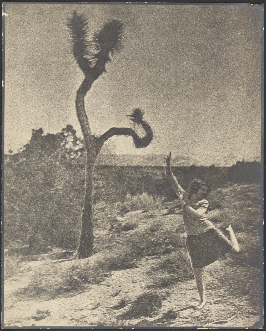La torsion en tire-bouchon - Louis Fleckenstein