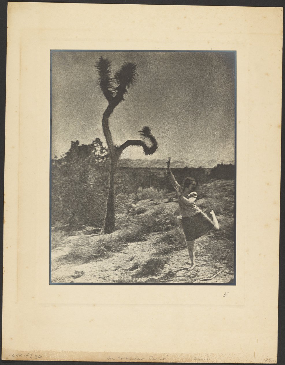 La torsion en tire-bouchon - Louis Fleckenstein