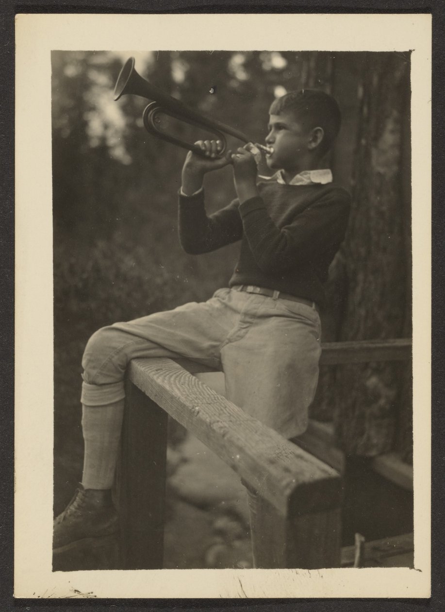 Thornbill - Louis Fleckenstein