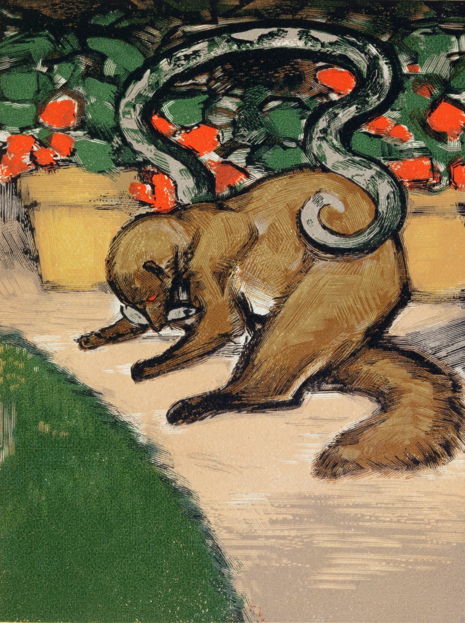 Rikki-Tikki-Tavi, illustration du "Livre de la jungle" de Rudyard Kipling (1965-1936) publié à Paris - Louis Joseph Soulas