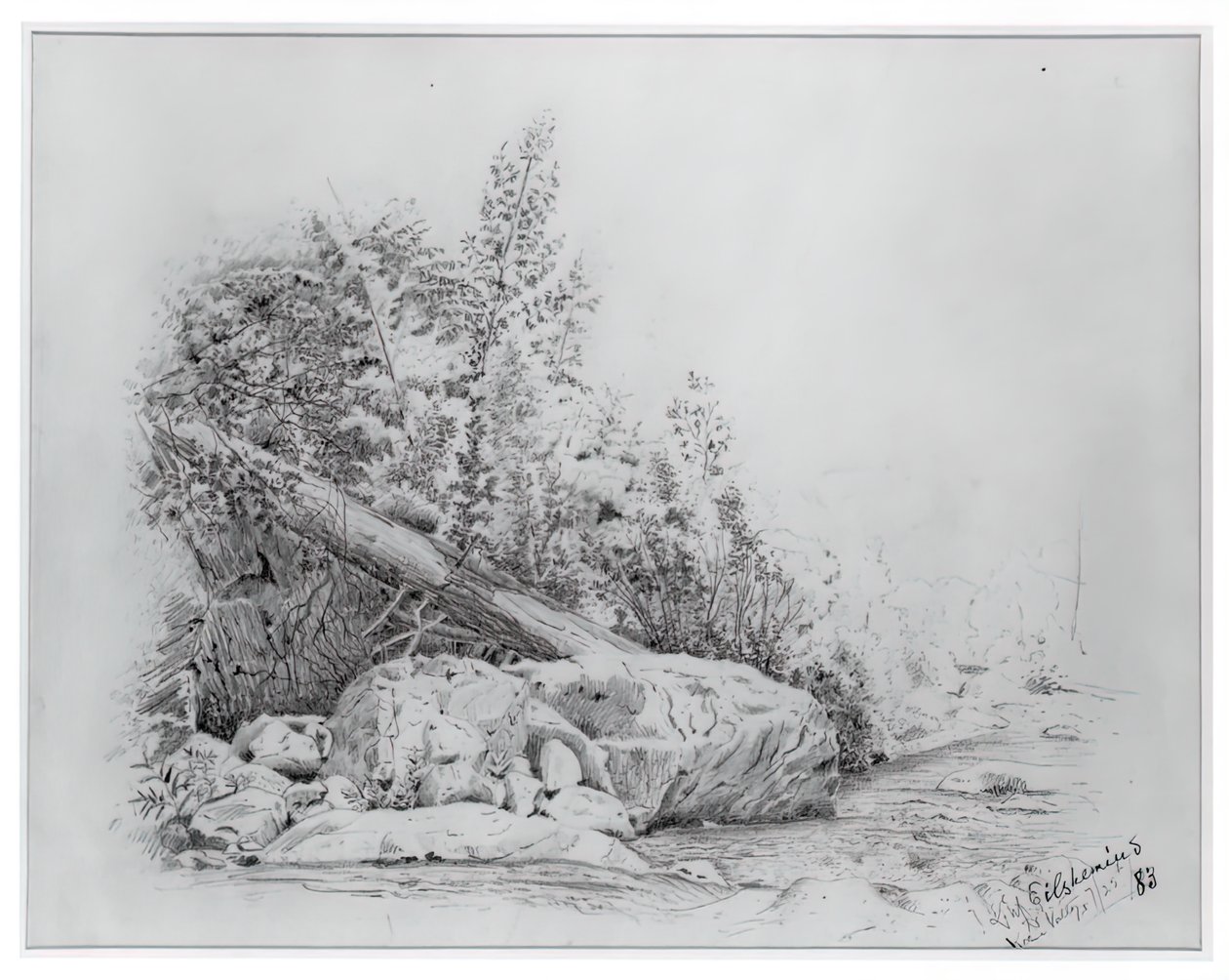 Arbre tombé, Keene Valley, 25 juillet 1883 - Louis Michel Eilshemius