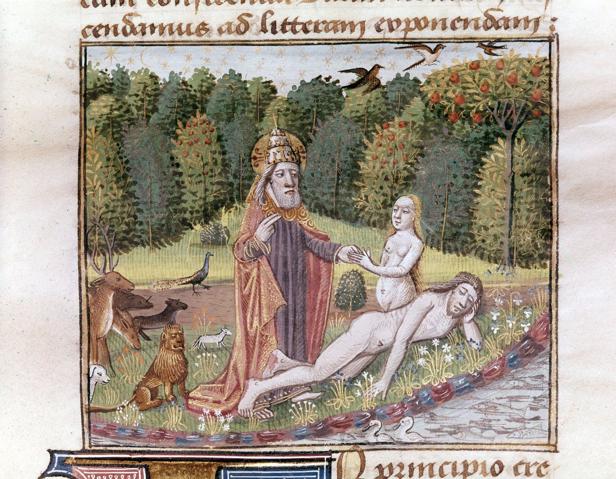 Création d