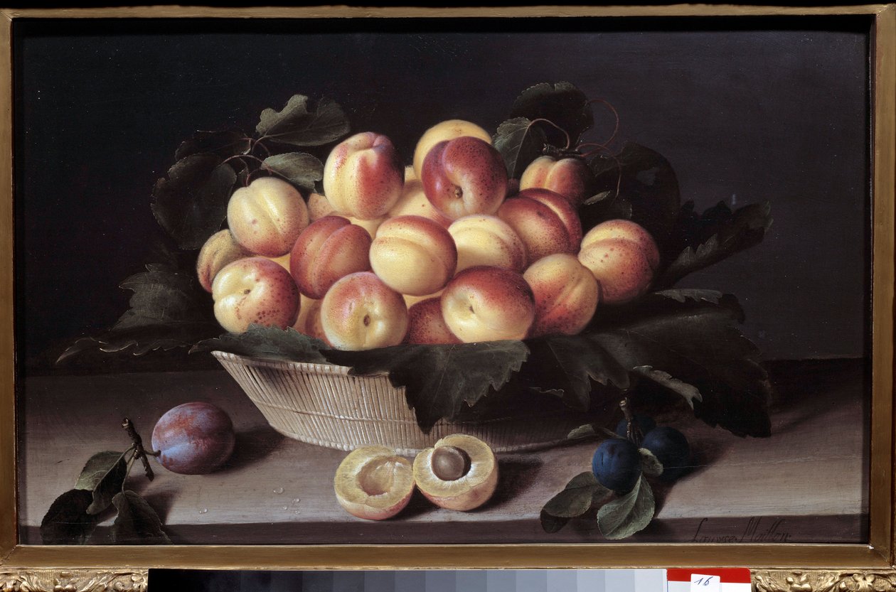 Nature morte avec des abricots. Panier d