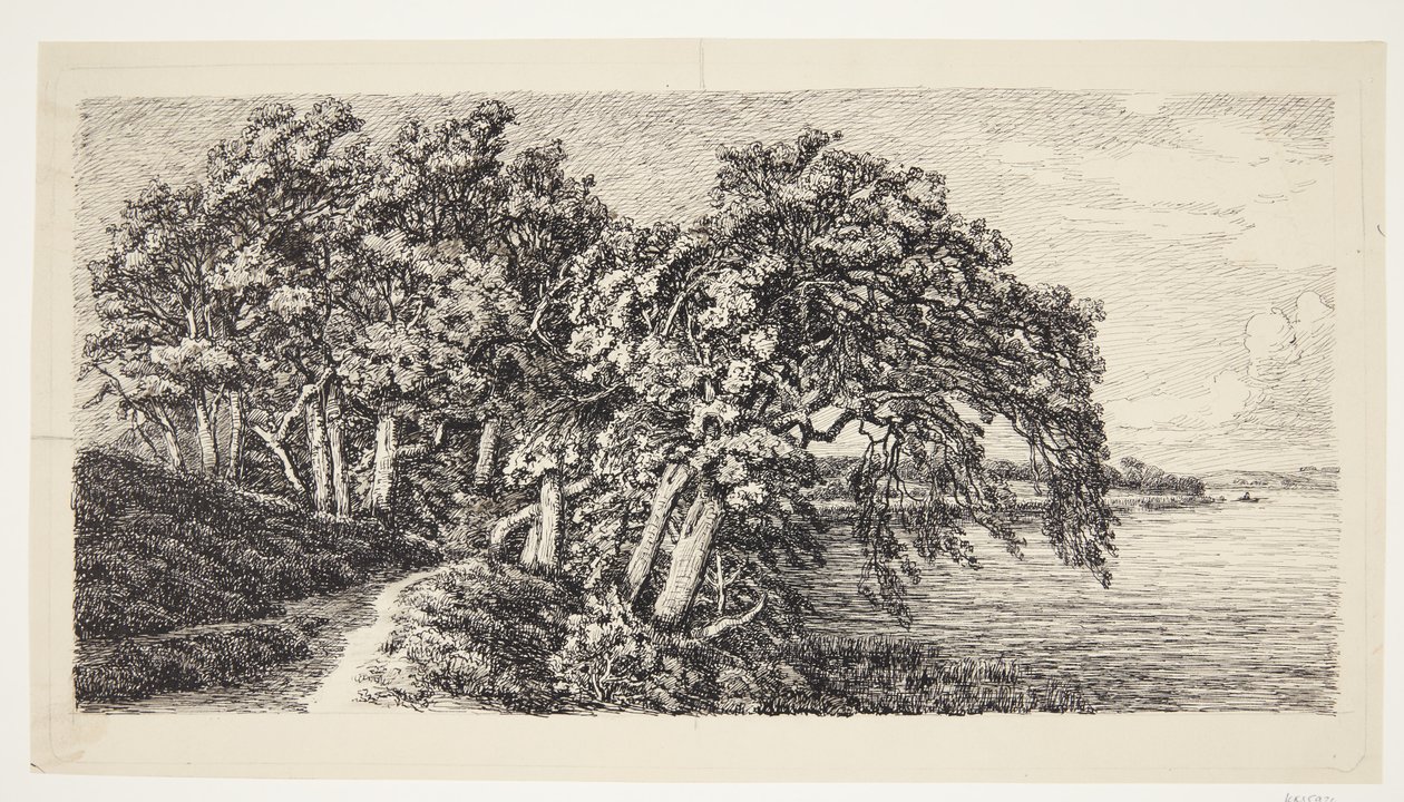 Vieux chênes près du lac Hald - Louise Ravn Hansen