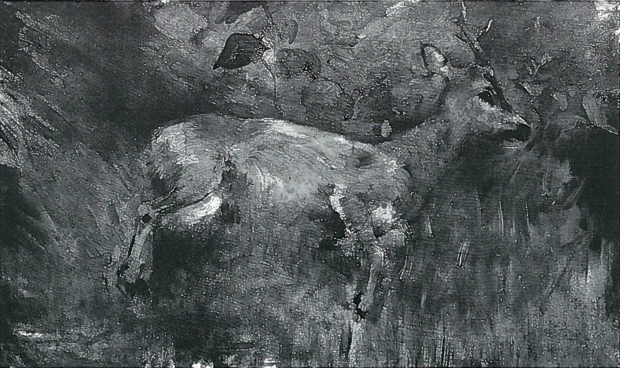 Chevreuil mort - Lovis Corinth
