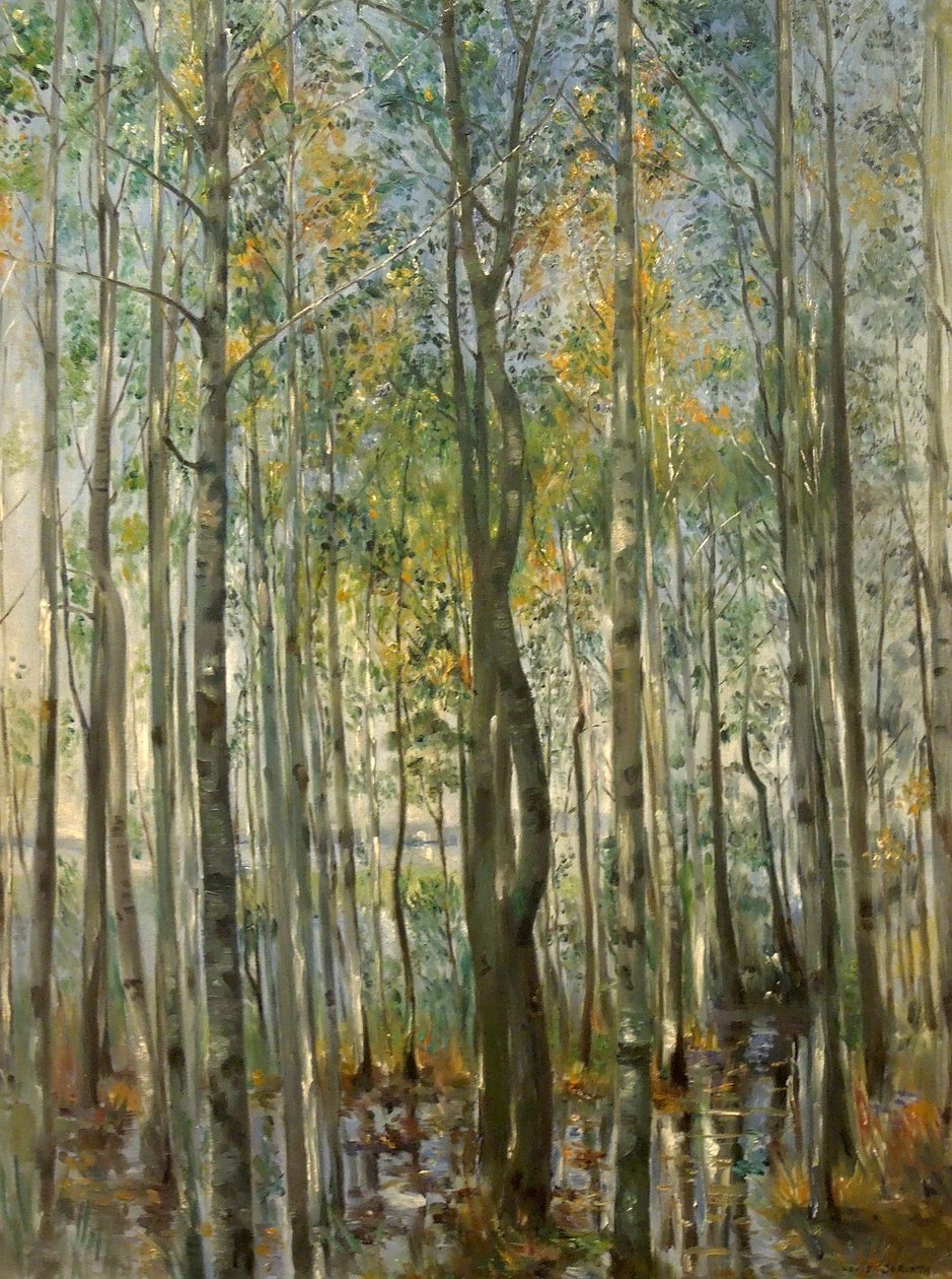 Une forêt. Inondation sur le lac de Starnberg - Lovis Corinth