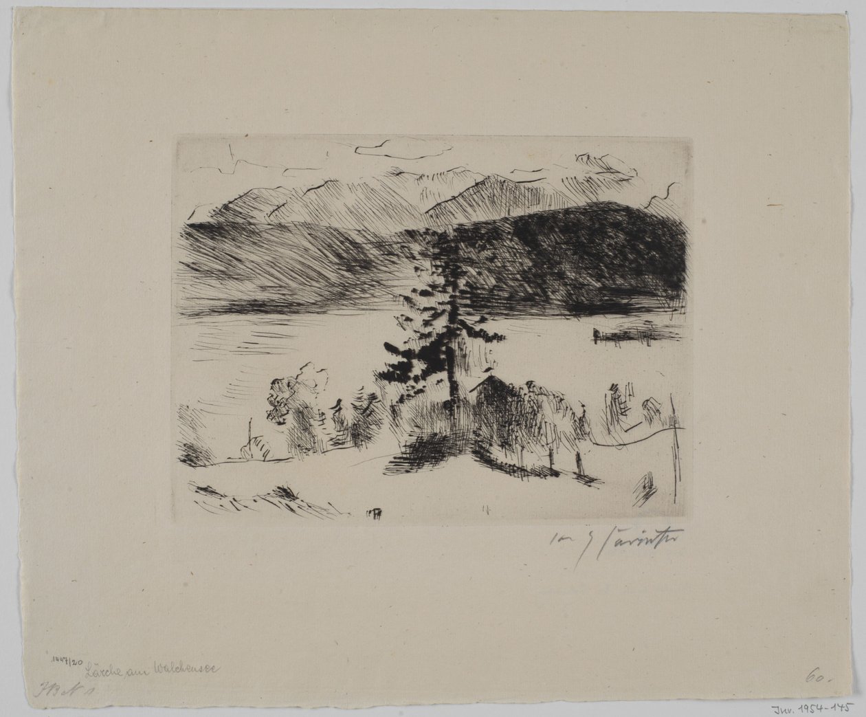 Lärche au bord du Walchensee - Lovis Corinth