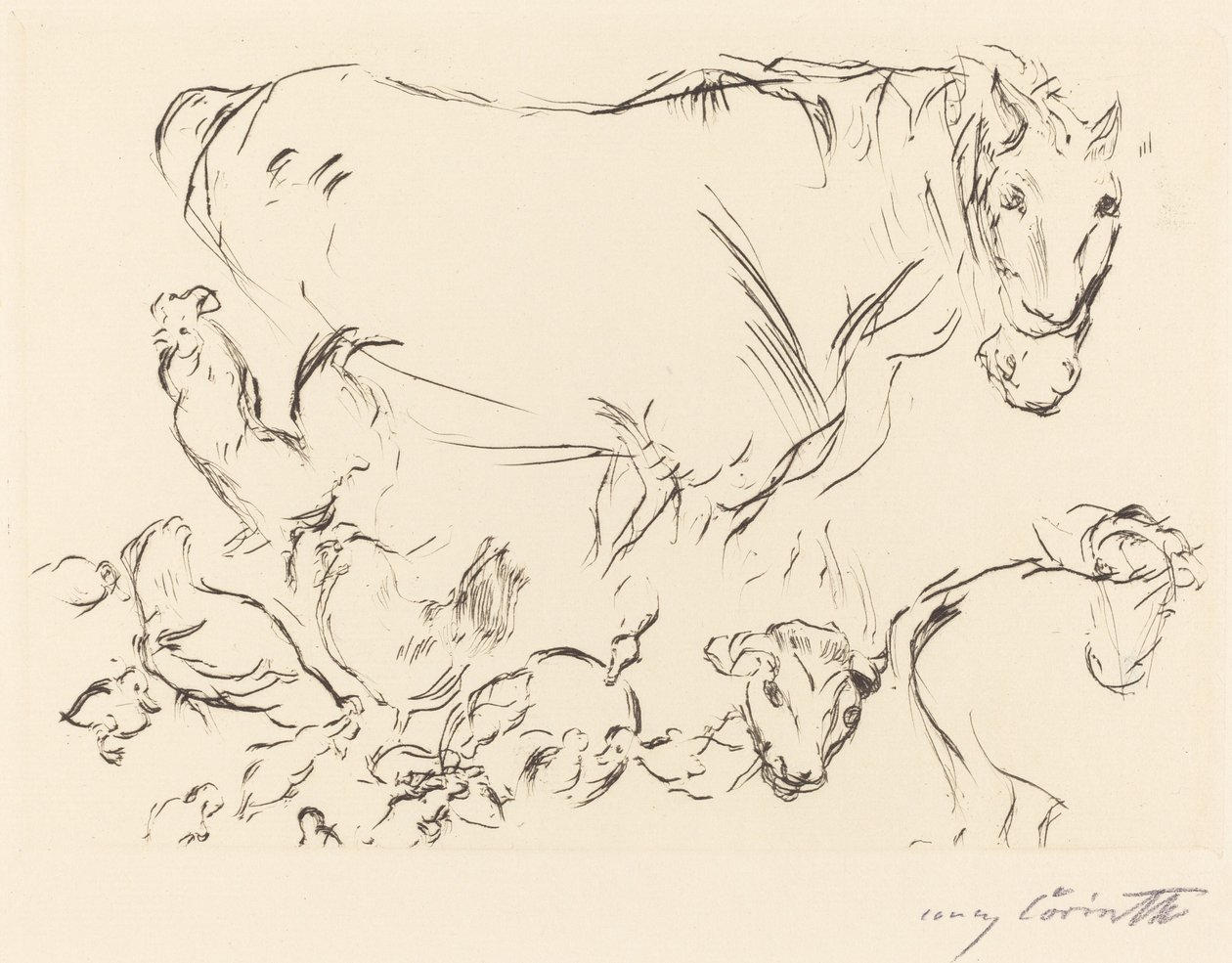Verschiedene Tierstudien, 1917 - Lovis Corinth