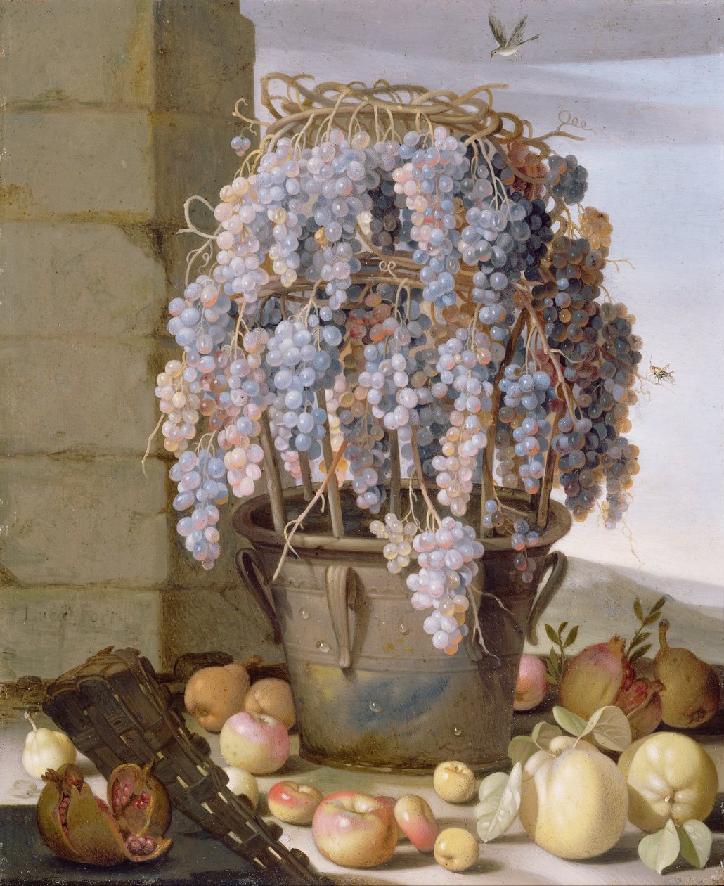 Nature morte avec raisins et autres fruits - Luca Forte