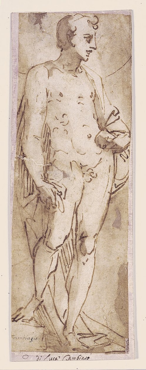 Jeune avec un manteau debout dans une niche - Luca Cambiaso
