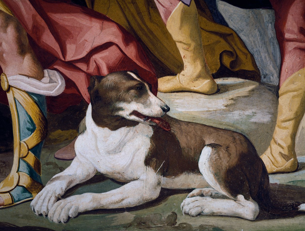 Chien (détail) - Luca Ferrari