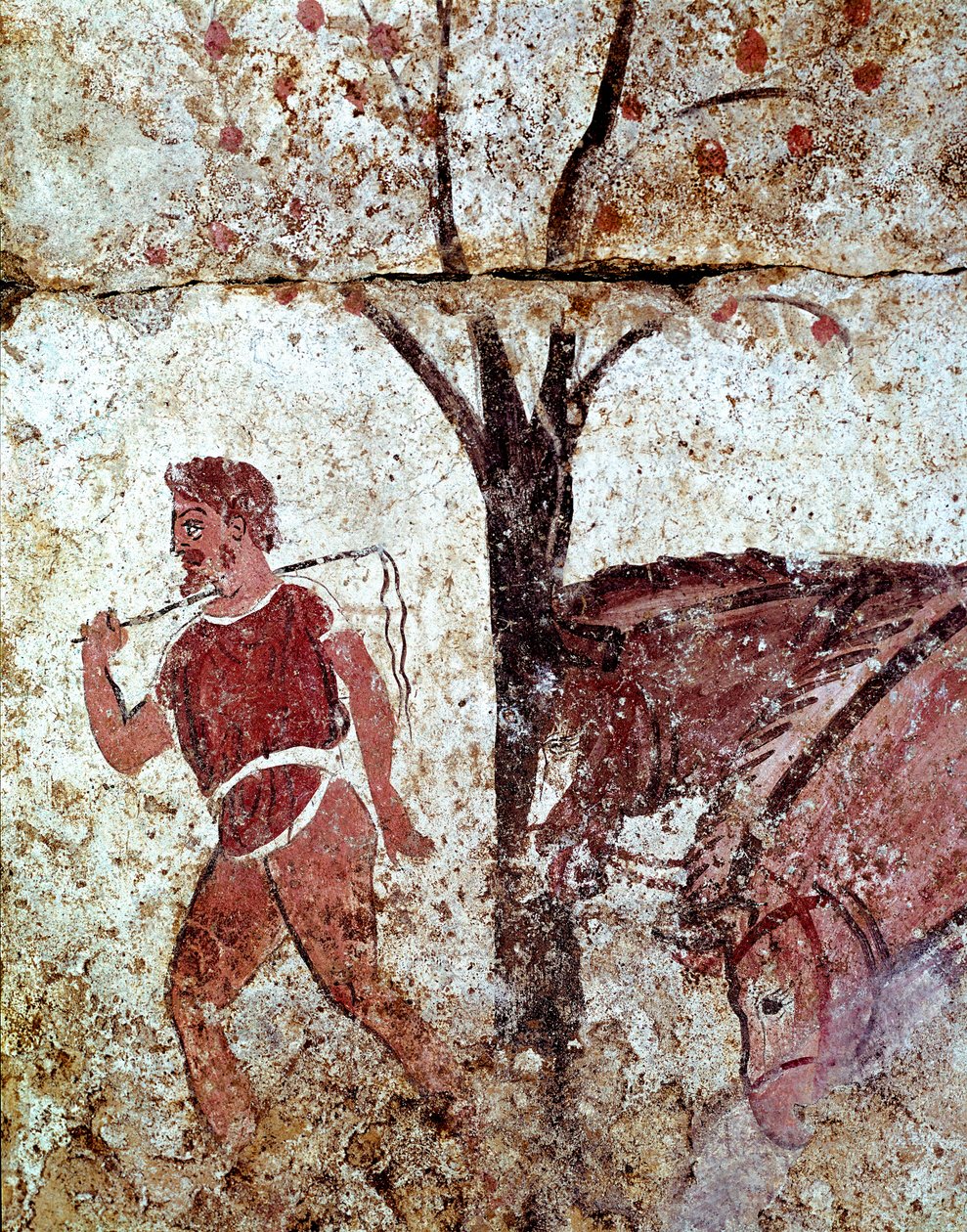 Un paysan tirant deux chevaux, fresque lucanienne du IVe siècle av. J.-C., de la nécropole de Paestum, Italie. Museo nazionale archeologico, Paestum - Lucanian School