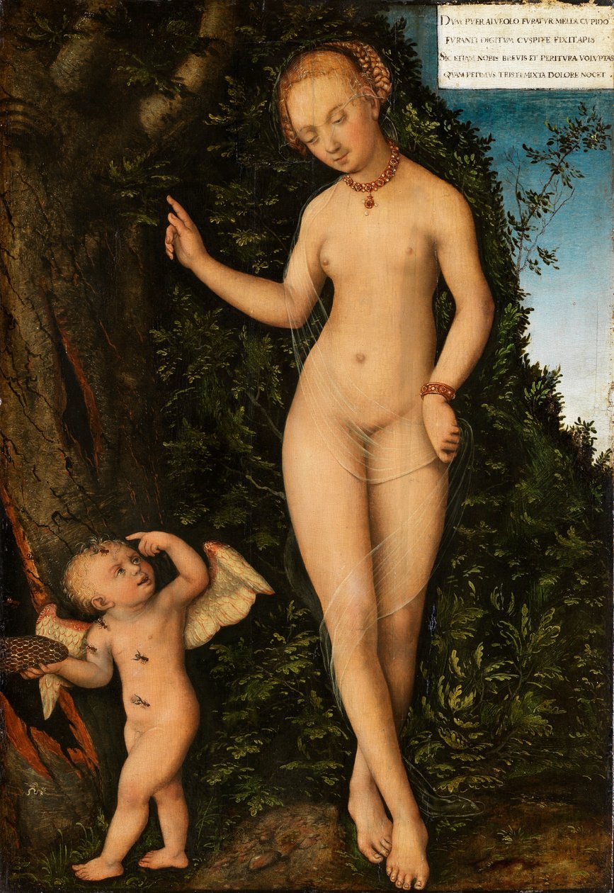 Vénus et Cupidon, le voleur de miel - Lucas Cranach the Elder