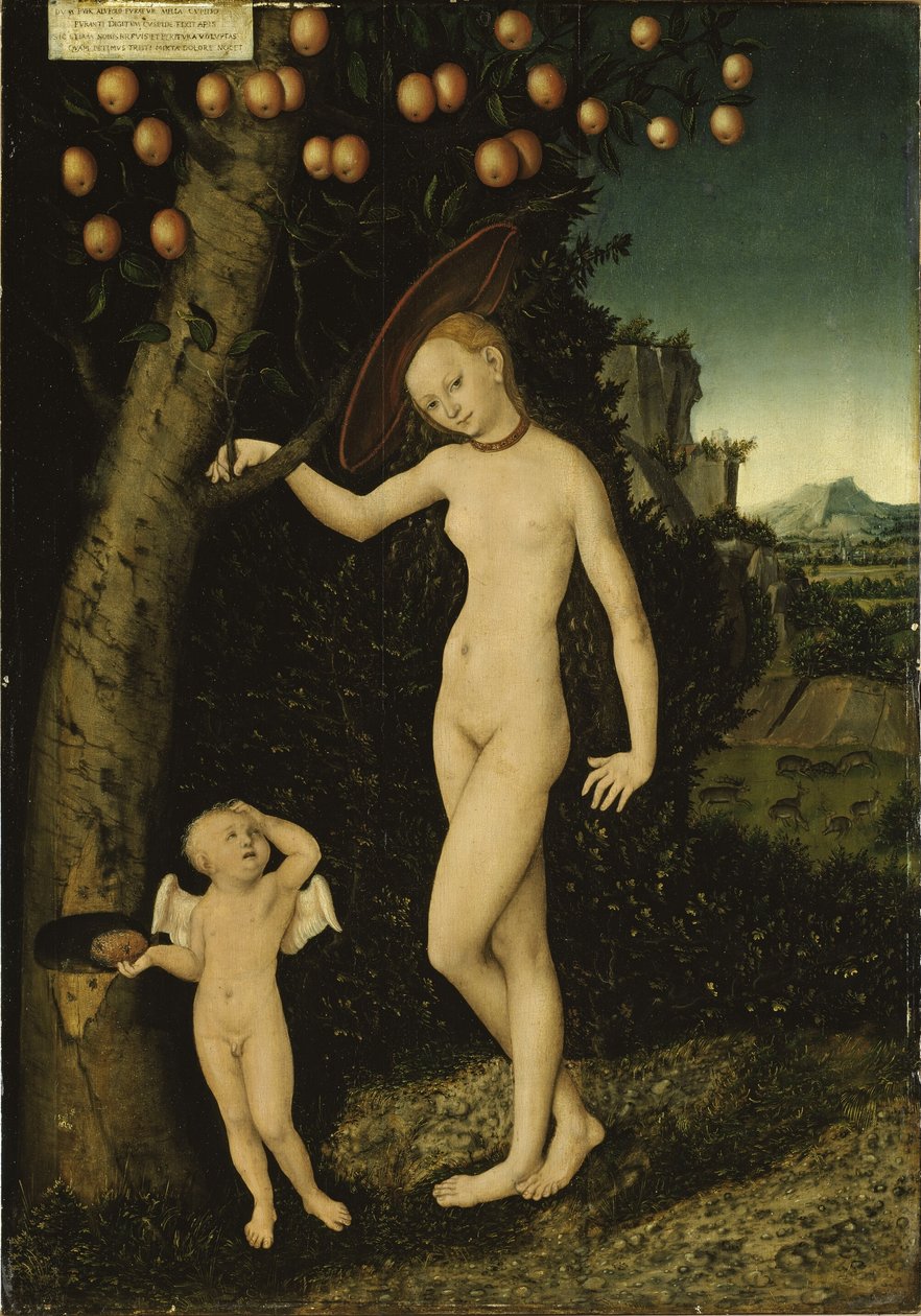Allemand : Venus mit Amor als Honigdieb Venus and Cupid as Honey Thief (Vénus avec Amour comme voleur de miel) - Lucas Cranach the Elder