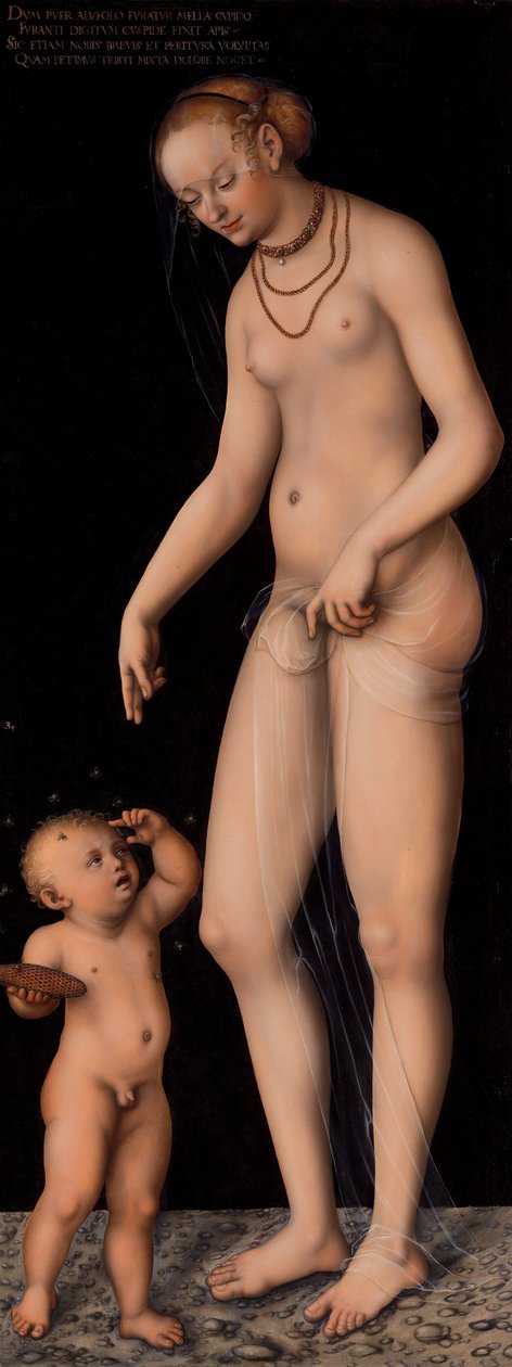 Vénus avec Cupidon comme voleur de miel - Lucas Cranach the Elder