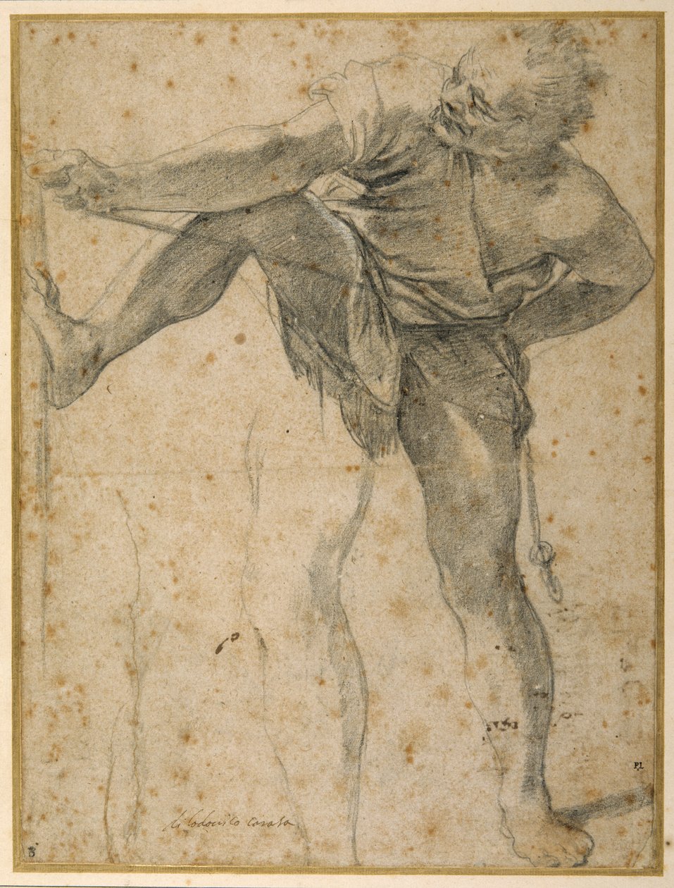 Homme tirant sur une corde, sa jambe gauche répétée une seconde fois (craie noire) - Ludovico Carracci
