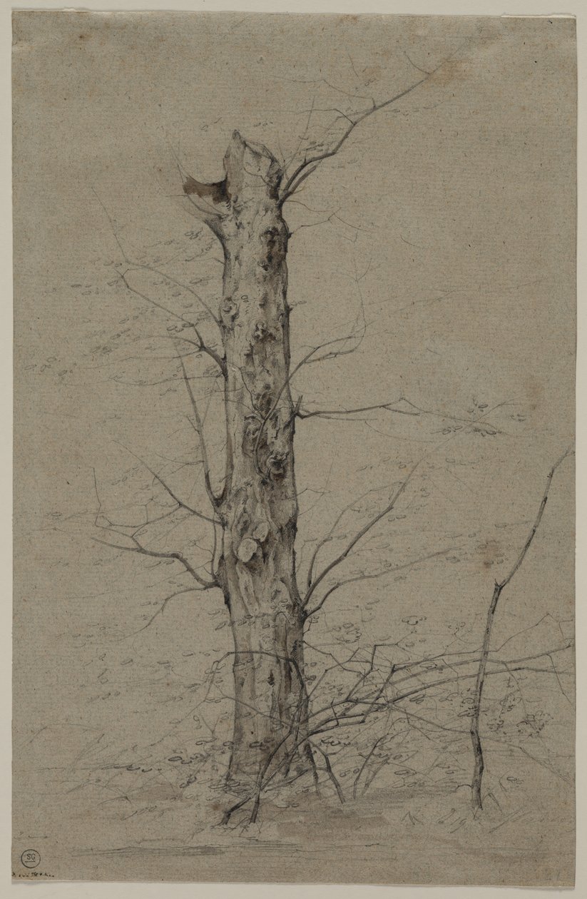Arbre, c. 1835-45 - Ludwig Ferdinand Schnorr von Carolsfeld