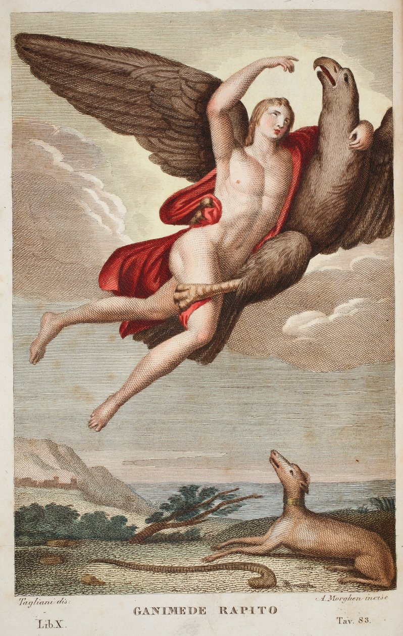 Ganymède enlevé au ciel, Livre X, illustration des Métamorphoses d