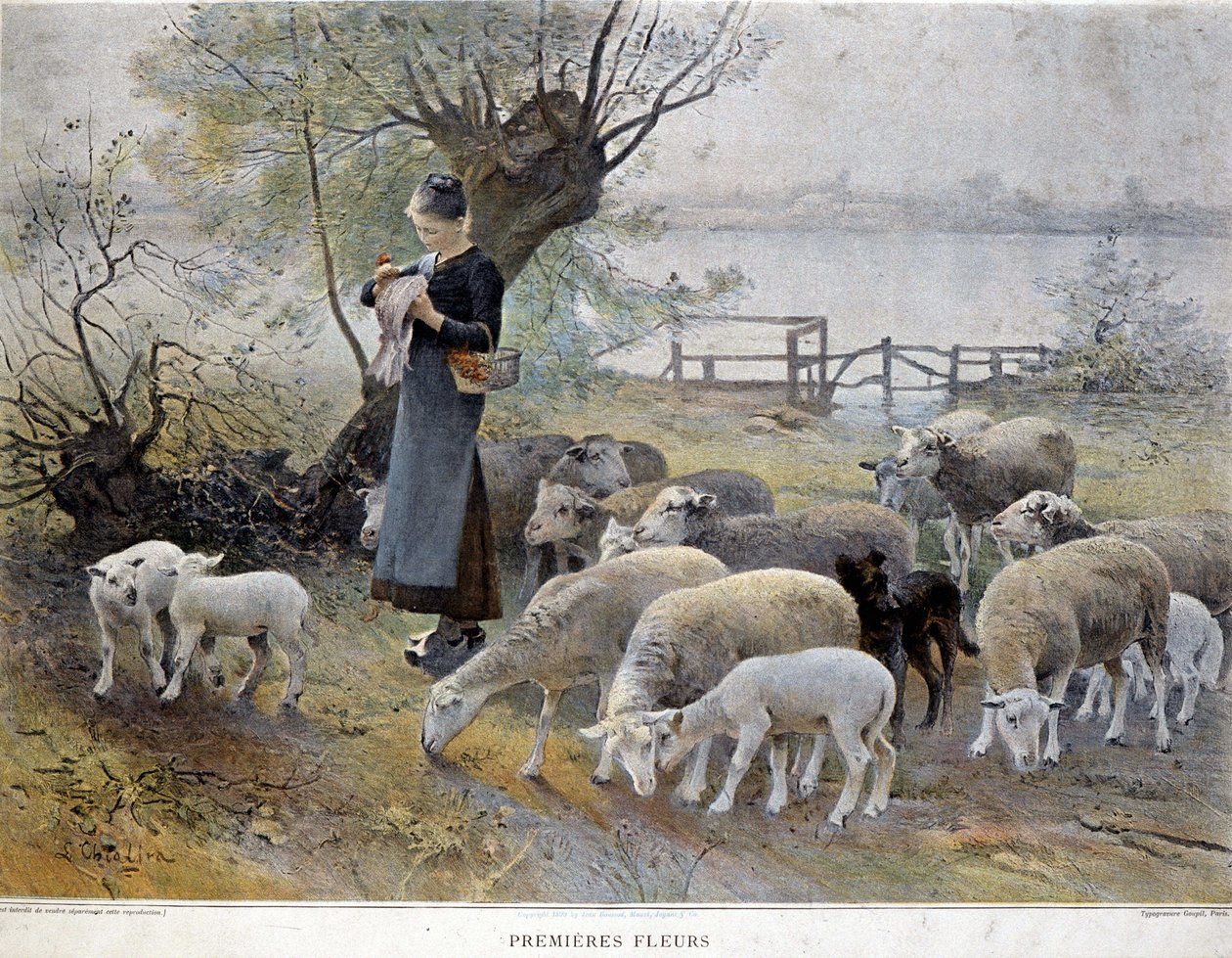 Premières fleurs : Une bergère entourée de ses moutons pique des fleurs dans son chapeau - Luigi Chialiva