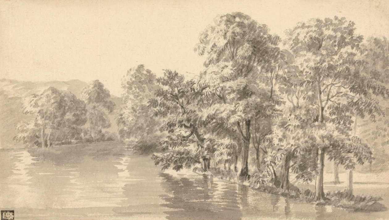 Arbres au bord d