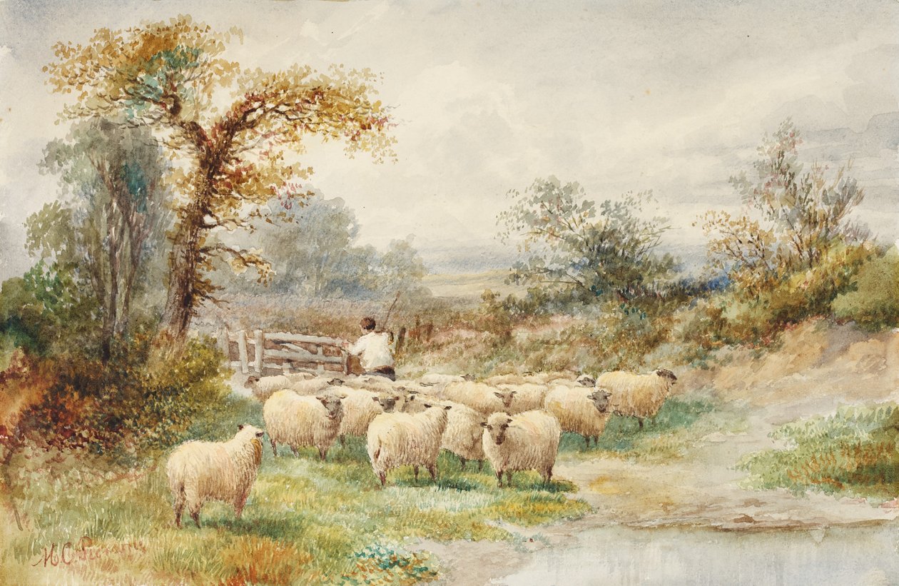 Paysage et moutons - M.C. Parsons
