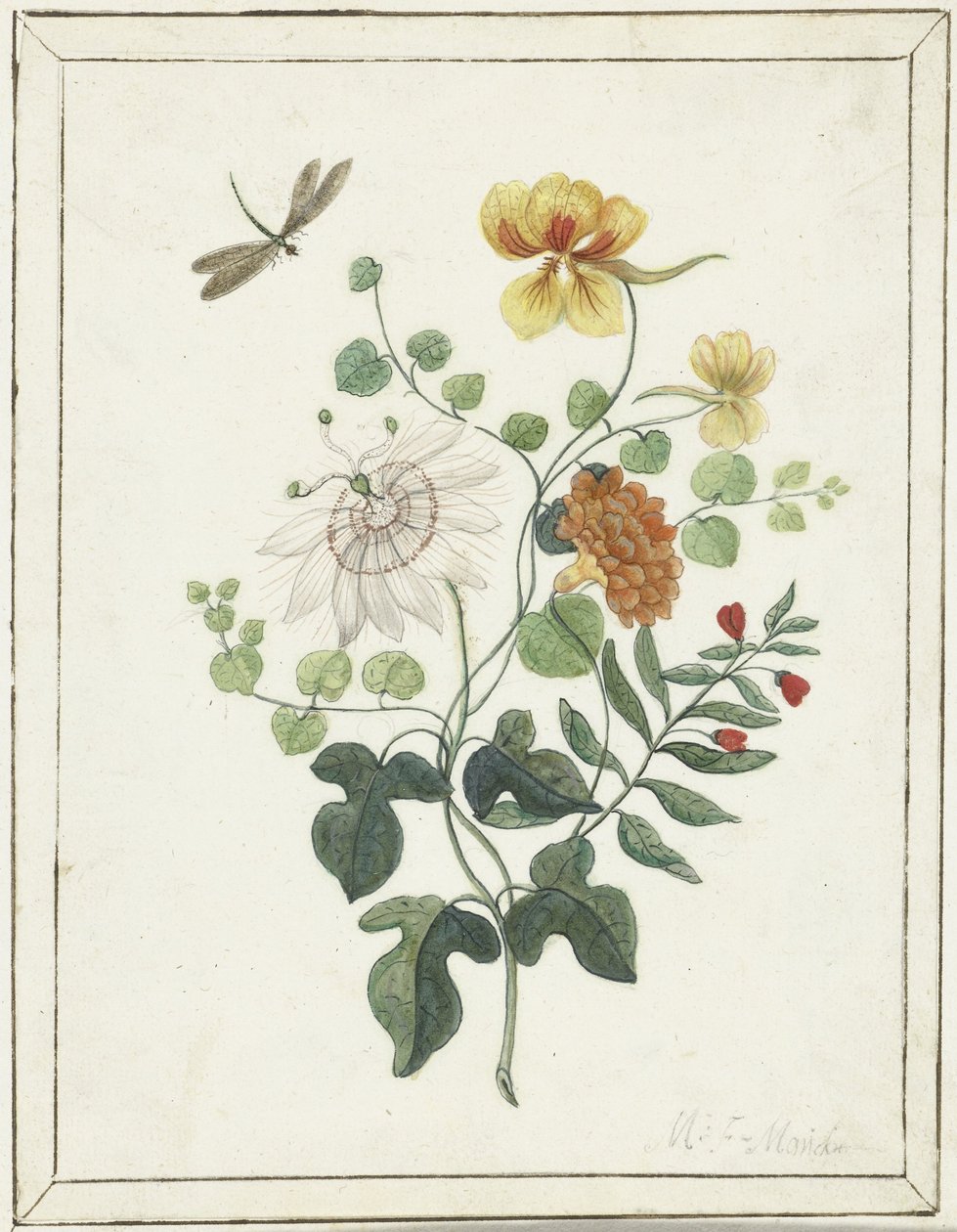 Nature morte de fleurs - Machtelt Moninckx