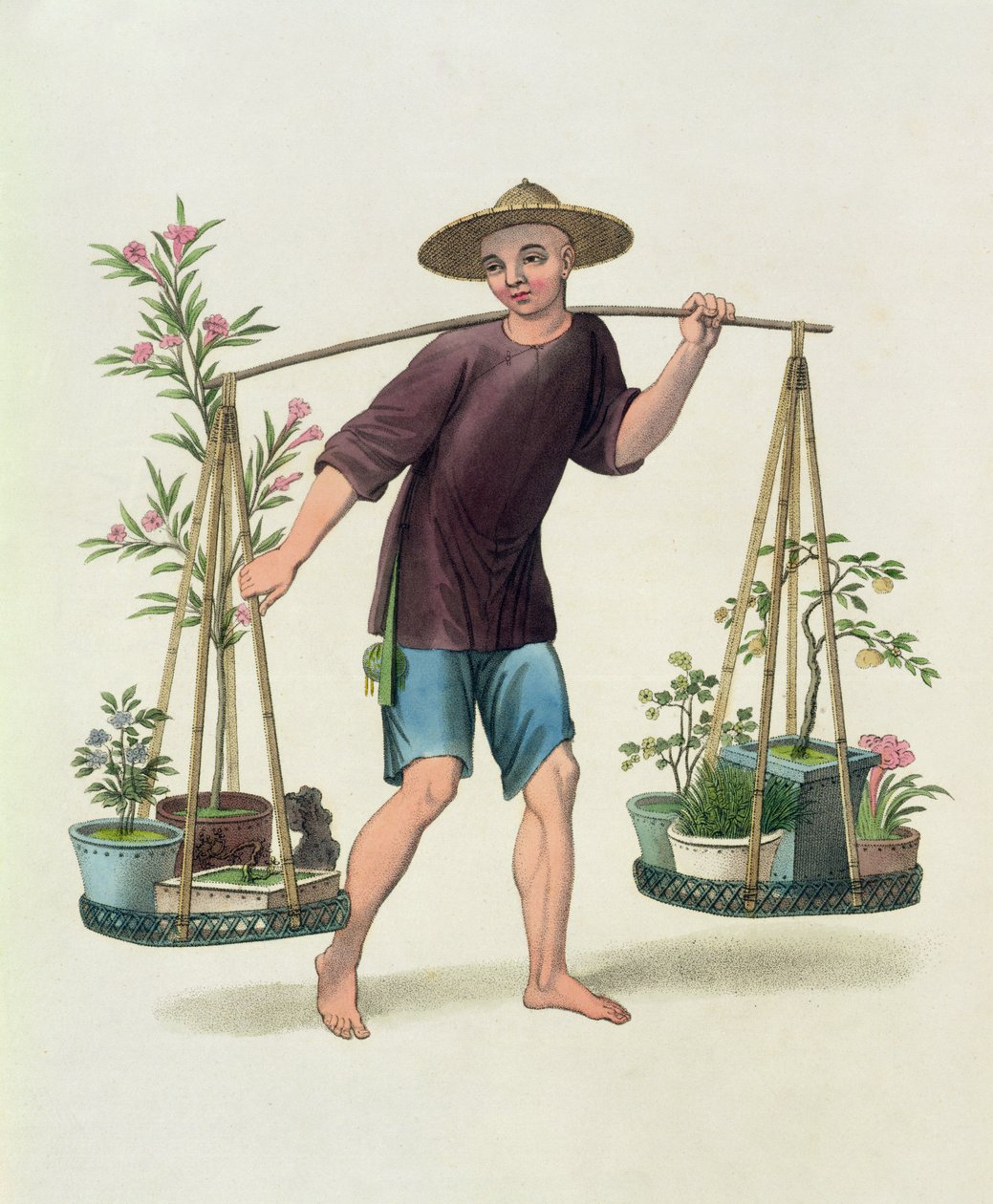 Un porteur avec des arbres fruitiers et des fleurs, planche 16 de 
