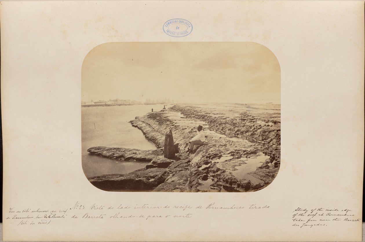 Vue de l'intérieur du récif de Pernambuco depuis Barreta en regardant ...