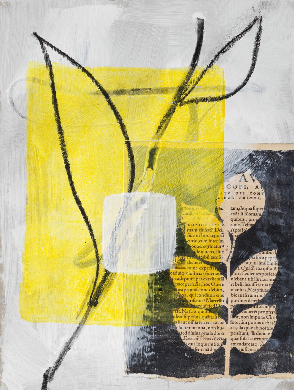 Collage avec Calla et feuilles, 2024 (mixed media) - Marco Campedelli