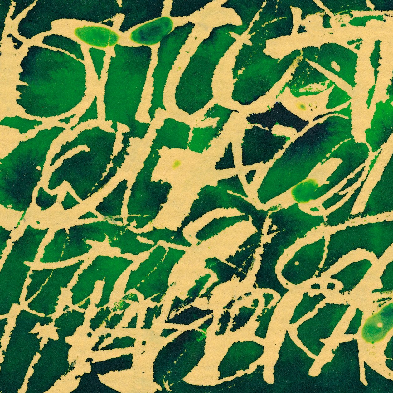 Écriture verte, 2002 (techniques mixtes) - Marco Campedelli