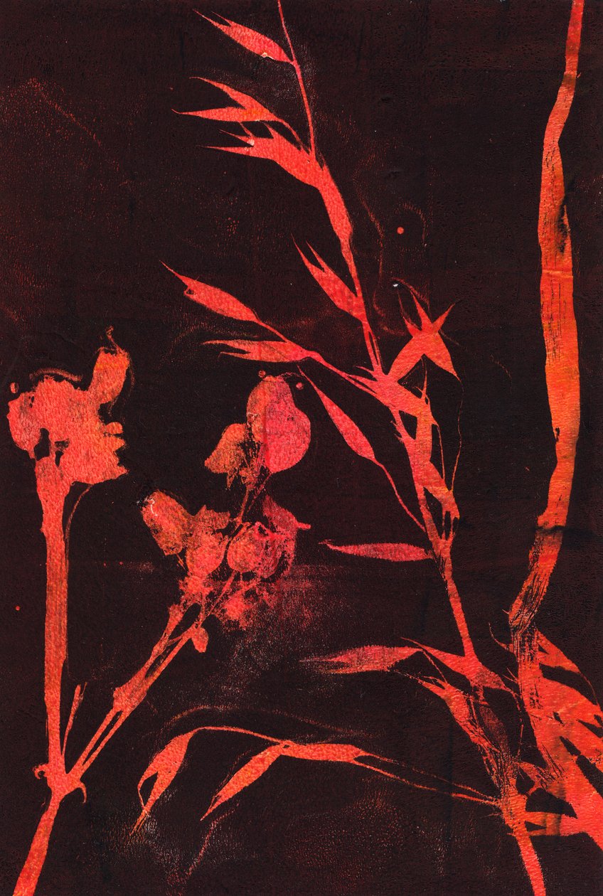 Feuilles rouges, 2024 (monotype) - Marco Campedelli