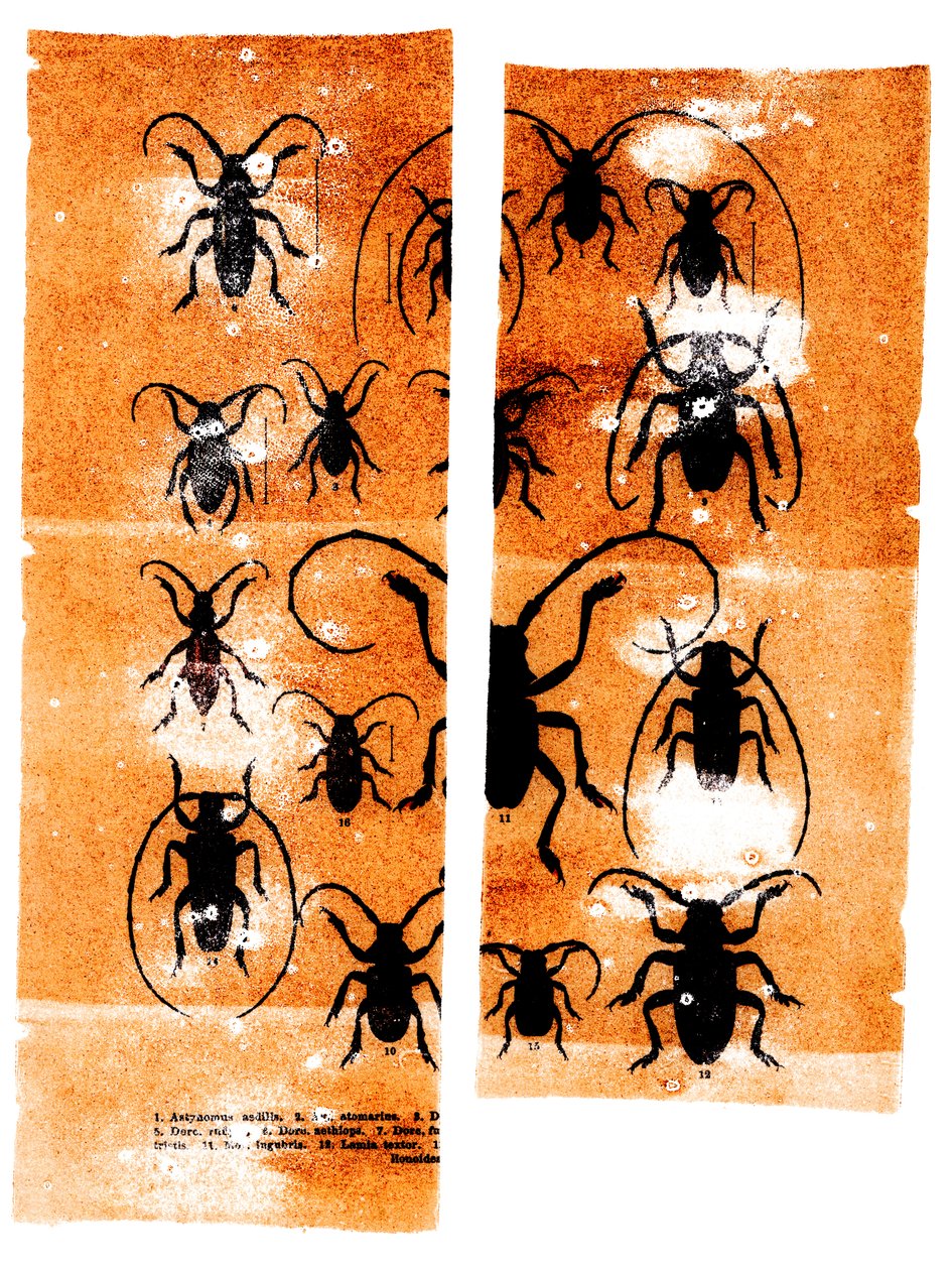 Foulards, 2023 (techniques mixtes) - Marco Campedelli