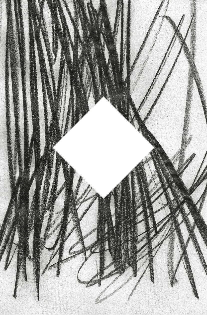 Sans titre, 2014 (graphite sur papier) - Marco Campedelli
