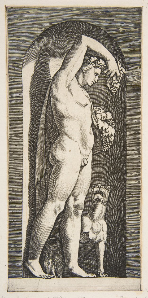Bacchus debout dans une niche tenant des raisins dans sa main droite levée, des fruits dans sa main gauche, vers 1515-27 - Marco Dente