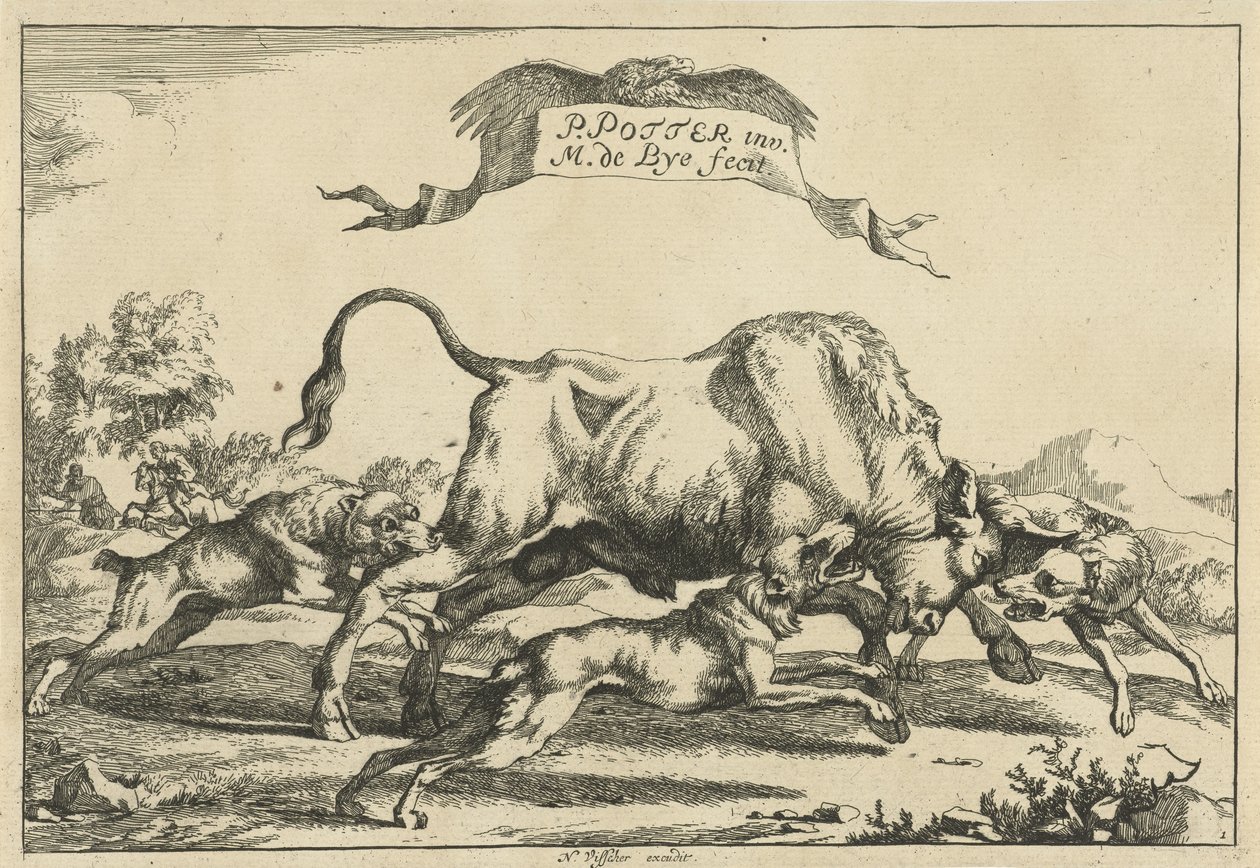Taureau attaqué par trois chiens de chasse - Marcus de Bye