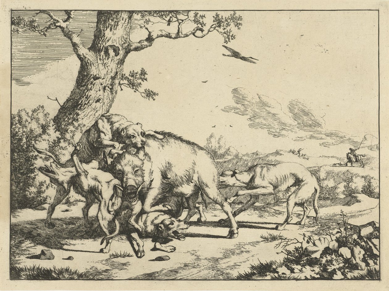 Sanglier attaqué par quatre chiens de chasse - Marcus de Bye