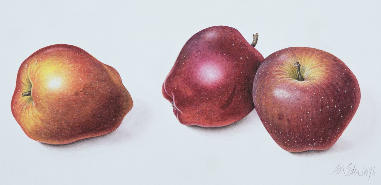 Pommes rouges - Margaret Ann Eden