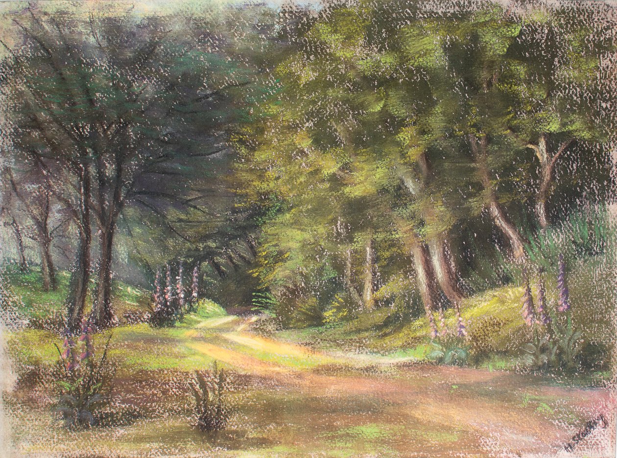 Promenade dans les bois, Somerset, 1995 - Margo Starkey