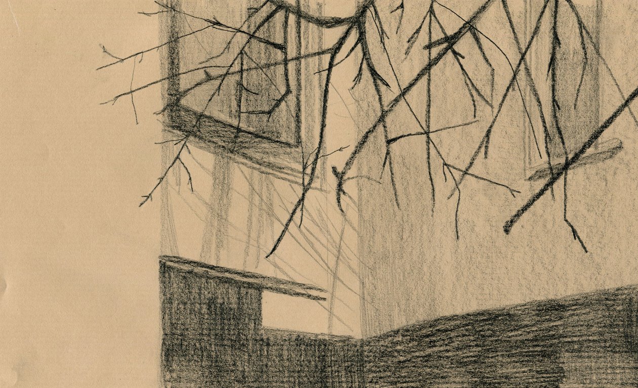 Paysage d