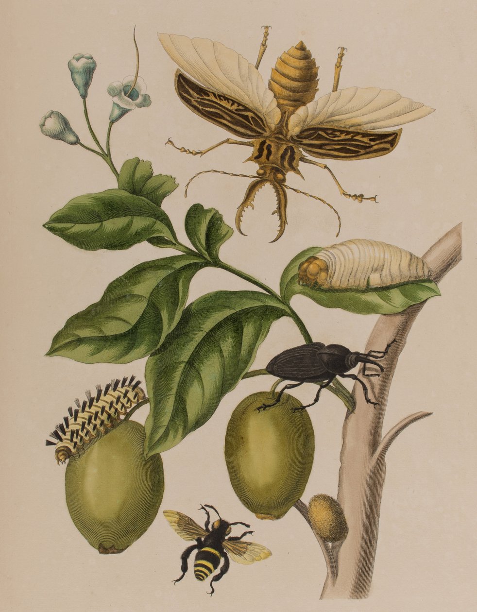 Illustration de 