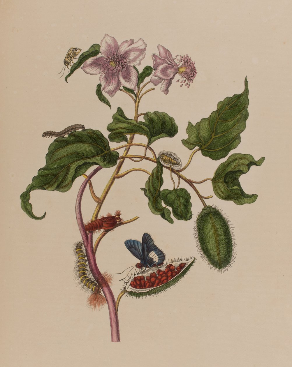 Illustration de 