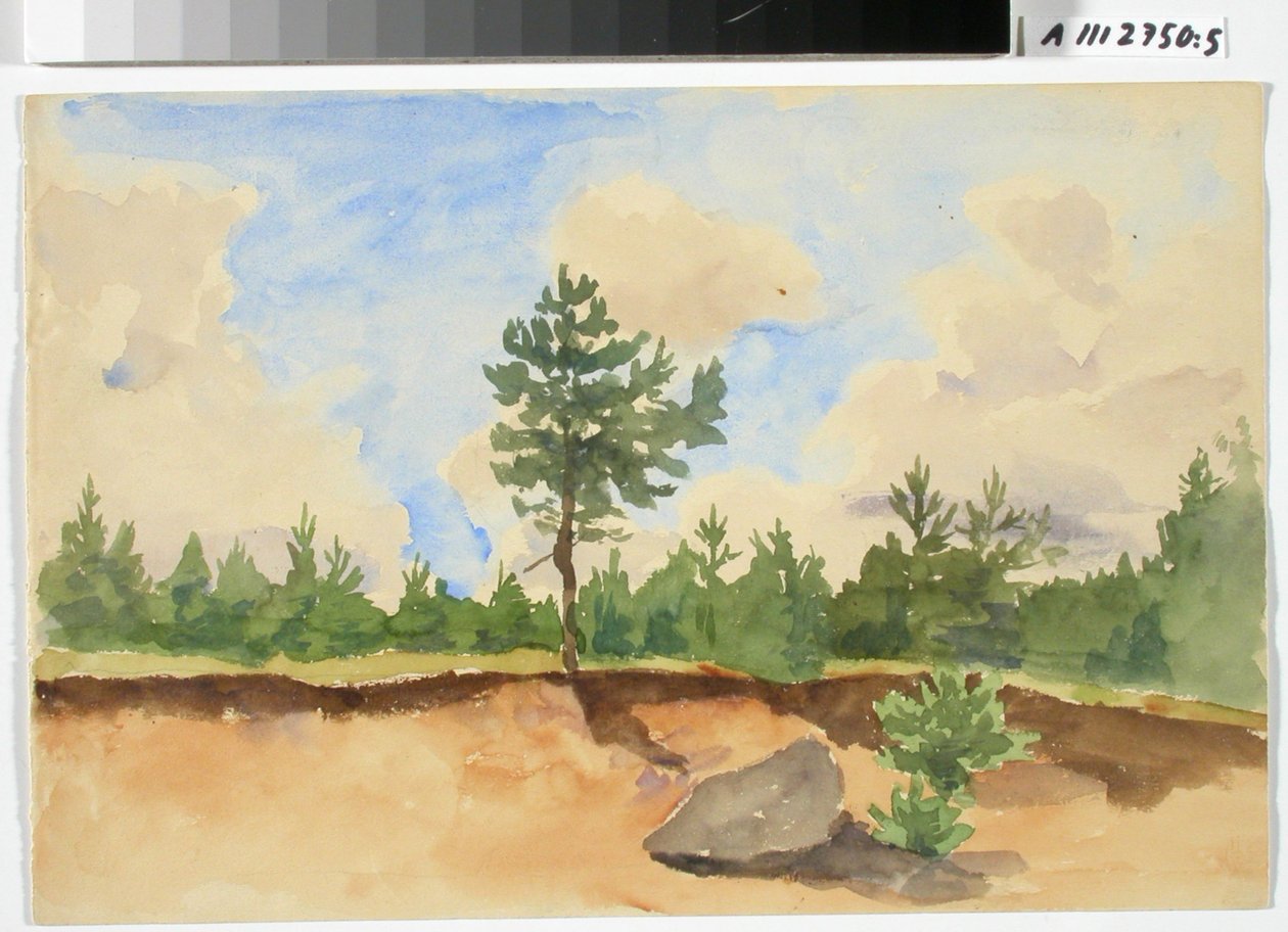 Étude de paysage, sablière - Maria Wiik