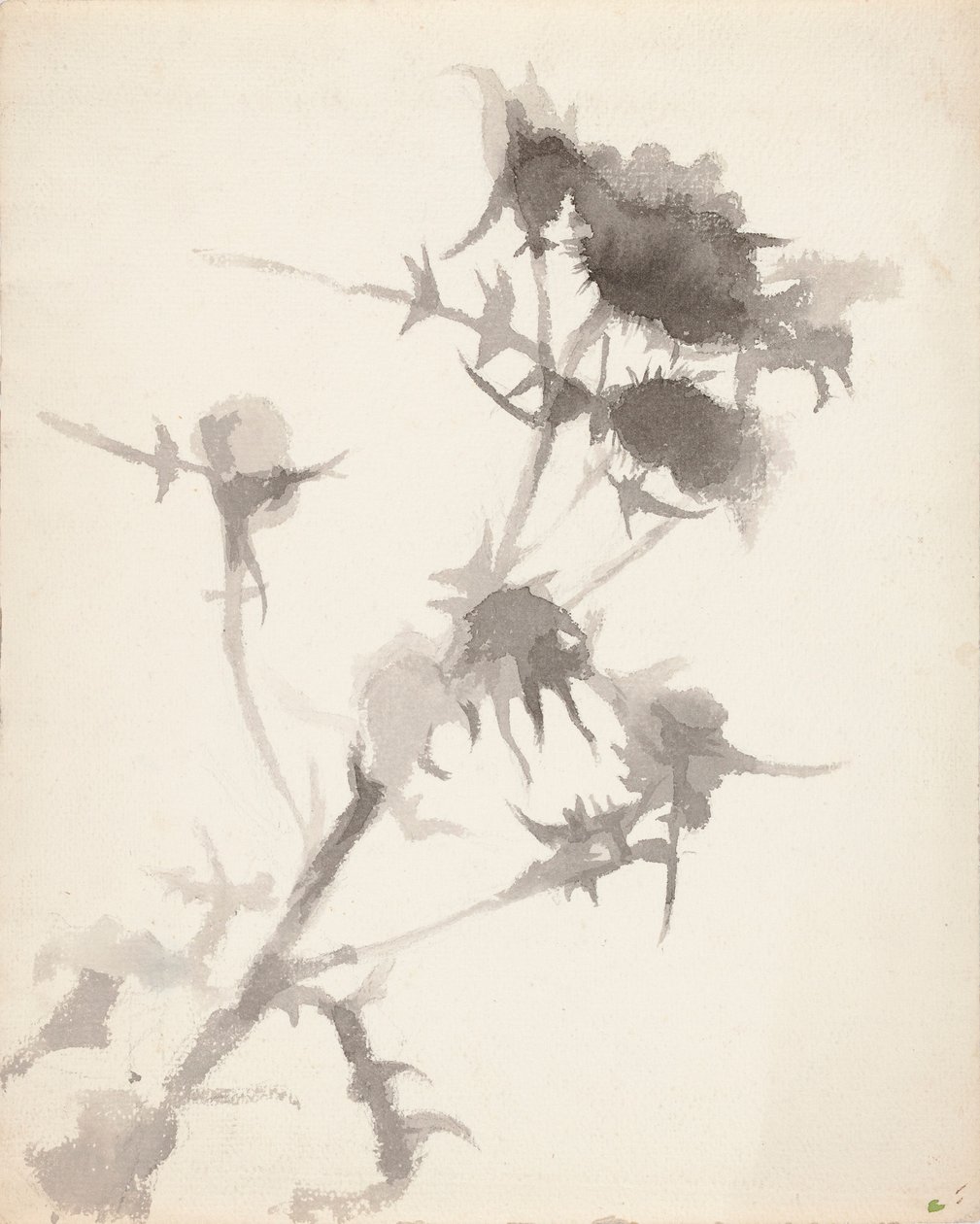 Chardons - Maria Wiik