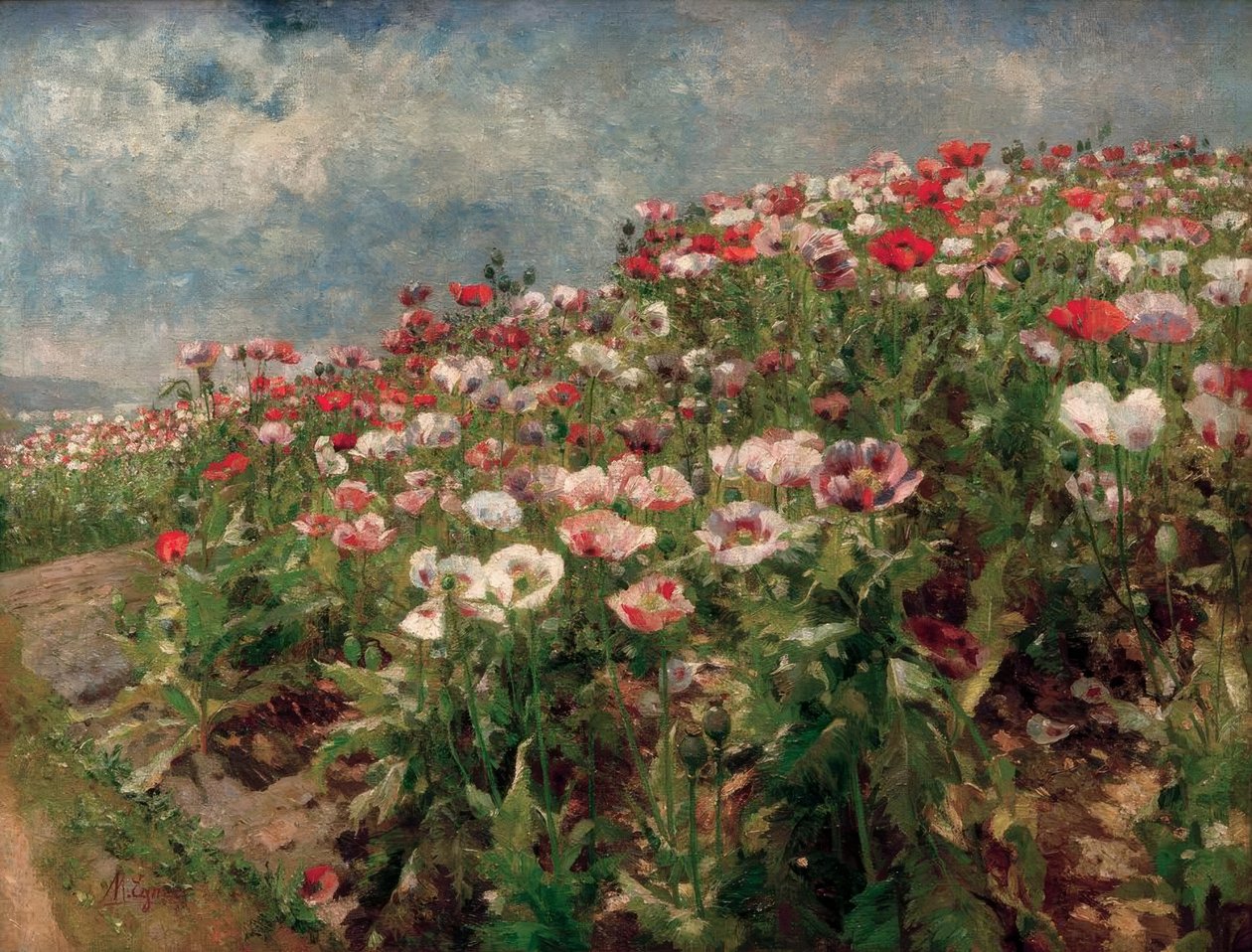 Coquelicot en fleur, motif de Saint-Georgen près de Melk - Marie Egner
