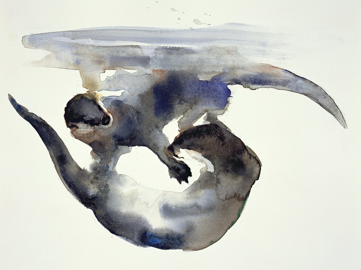 Cour - Mark Adlington
