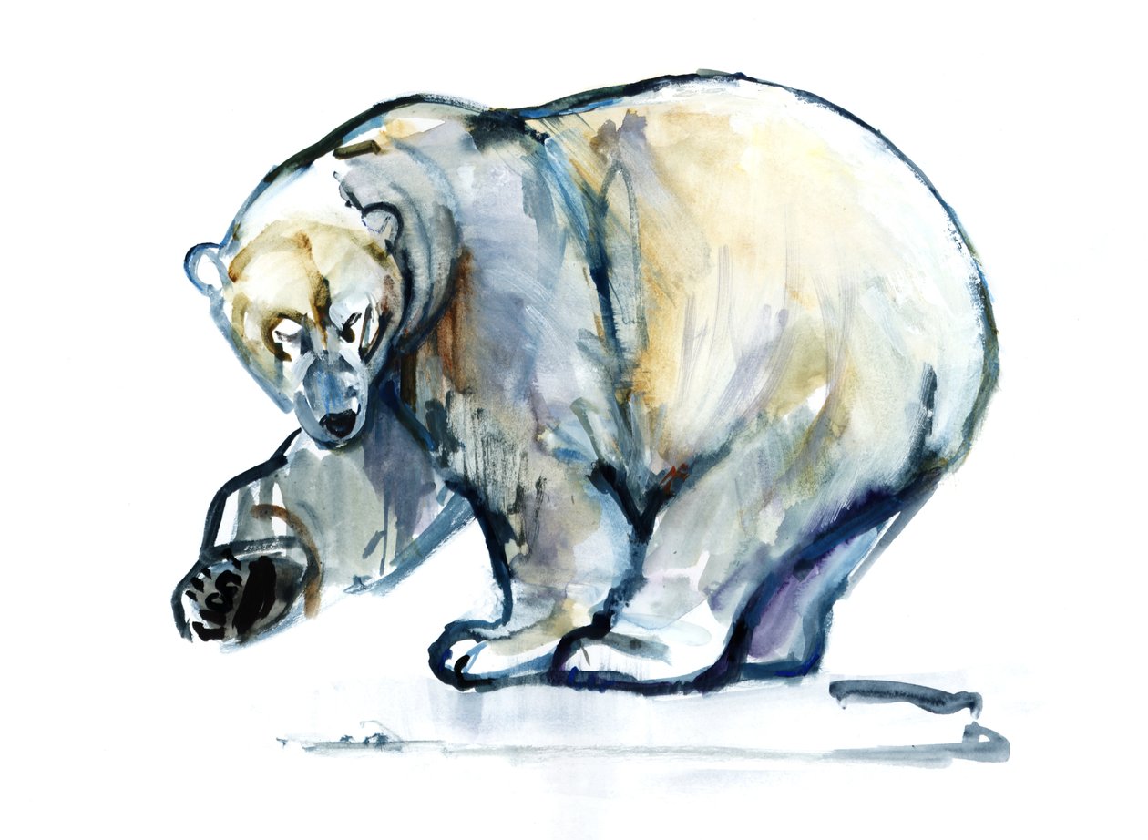 Ours polaire, 2013 - Mark Adlington